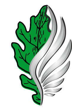 logo pion